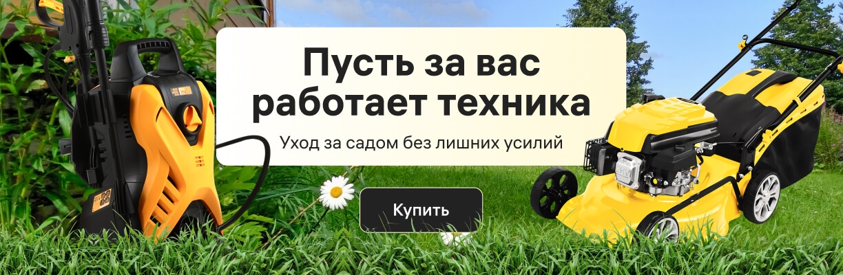main banner
